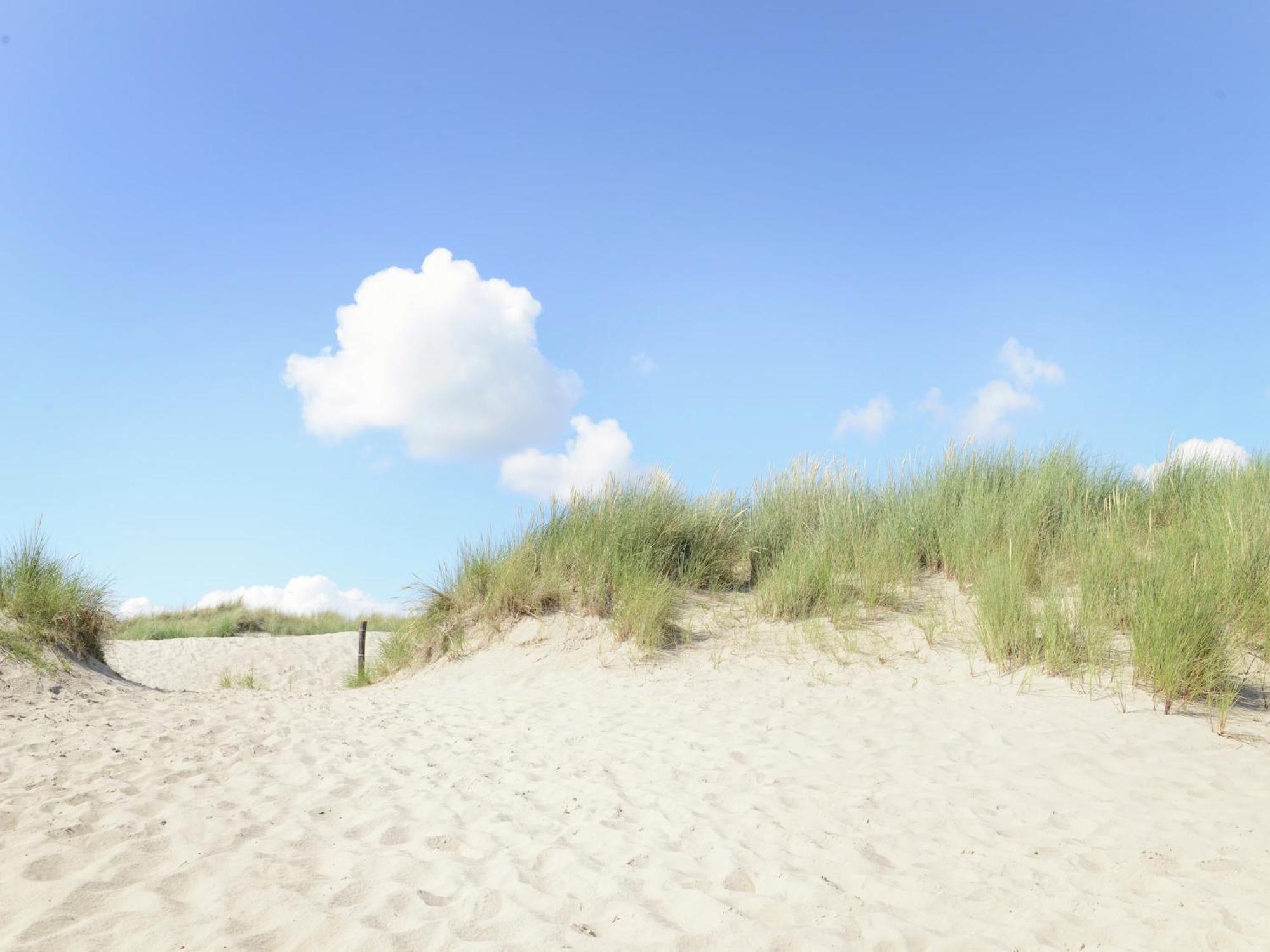Beautiful Apartment In Callantsoog Near Beach Zewnętrze zdjęcie